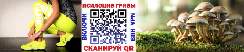 где купить   omg   Псилоцибиновые грибы Psilocybe  Буинск 